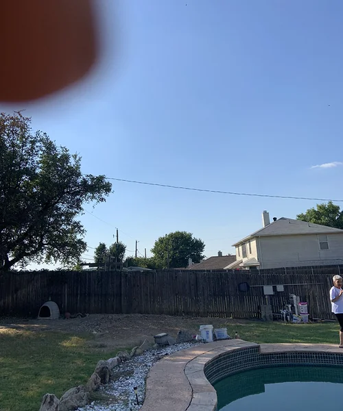 Tree Removal in Fort Worth 